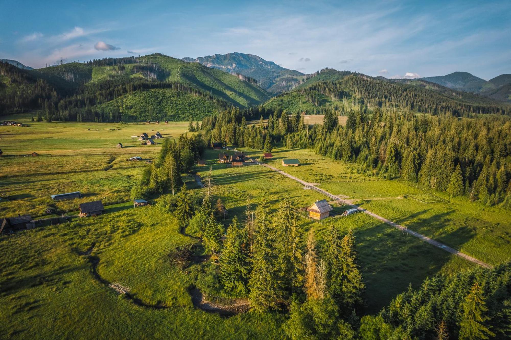 Apartamenty Krokus Przy Polanie Bialy Potok Witów Dış mekan fotoğraf